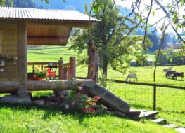 004 - e wyti terasse